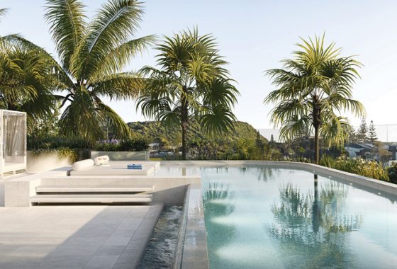 Palm trees and swimming pool — Cove Magazine In Sanctuary Cove, QLD