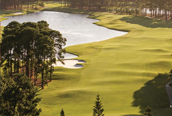 Beyond the Fairways— Cove Magazine in Sanctuary Cove, QLD