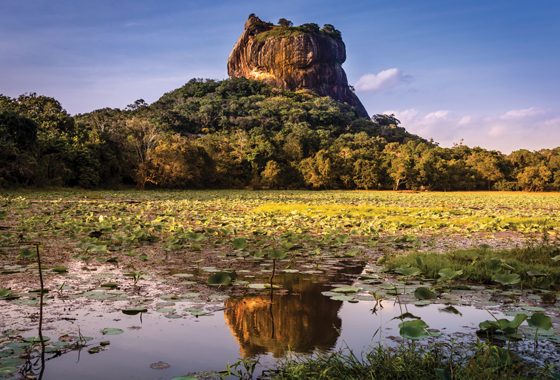 Bunnik Tours Mountain — Cove Magazine in Sanctuary Cove, QLD
