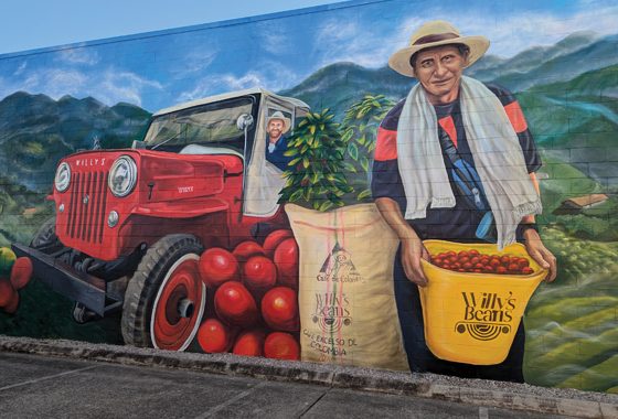 Farm to Cup — Cove Magazine in Sanctuary Cove, QLD