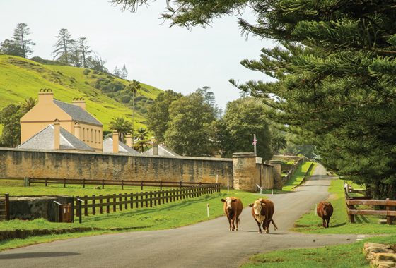 Pretty as a Picture — Cove Magazine in Sanctuary Cove, QLD